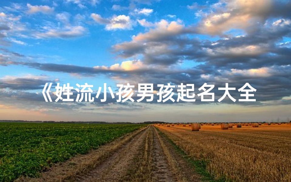 《姓流小孩男孩起名大全:创意精选》