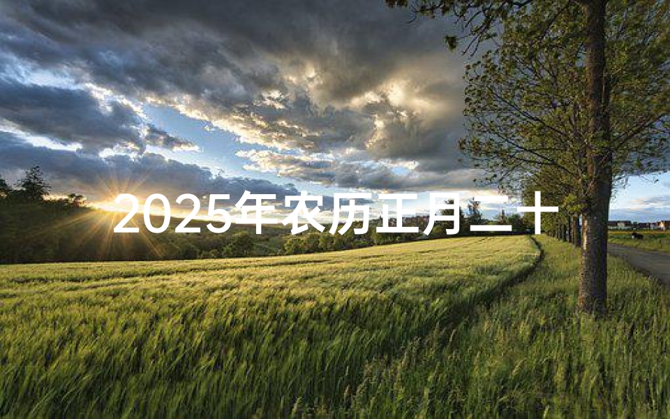2025年农历正月二十二黄道吉日;正月二十二黄道吉日:宜嫁娶,迎祥纳福吉时到