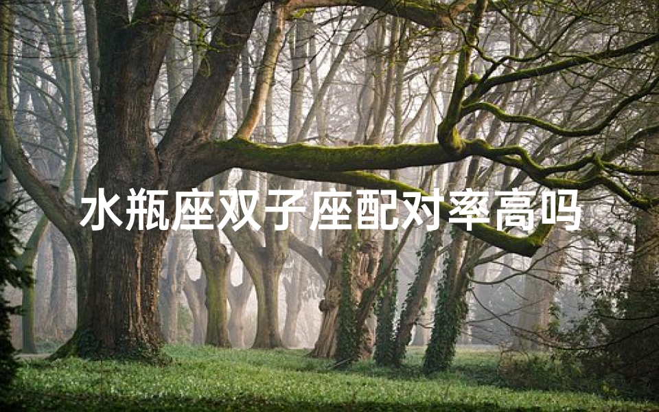 水瓶座双子座配对率高吗、水瓶座双子座配对指数揭秘:高吗?