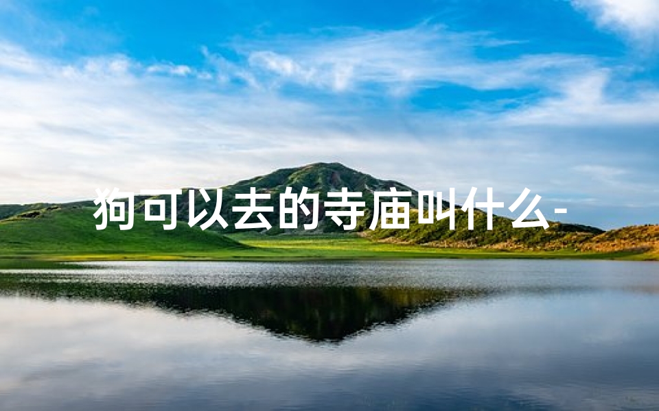 狗可以去的寺庙叫什么-可以去寺庙为狗狗上香吗-算卦网