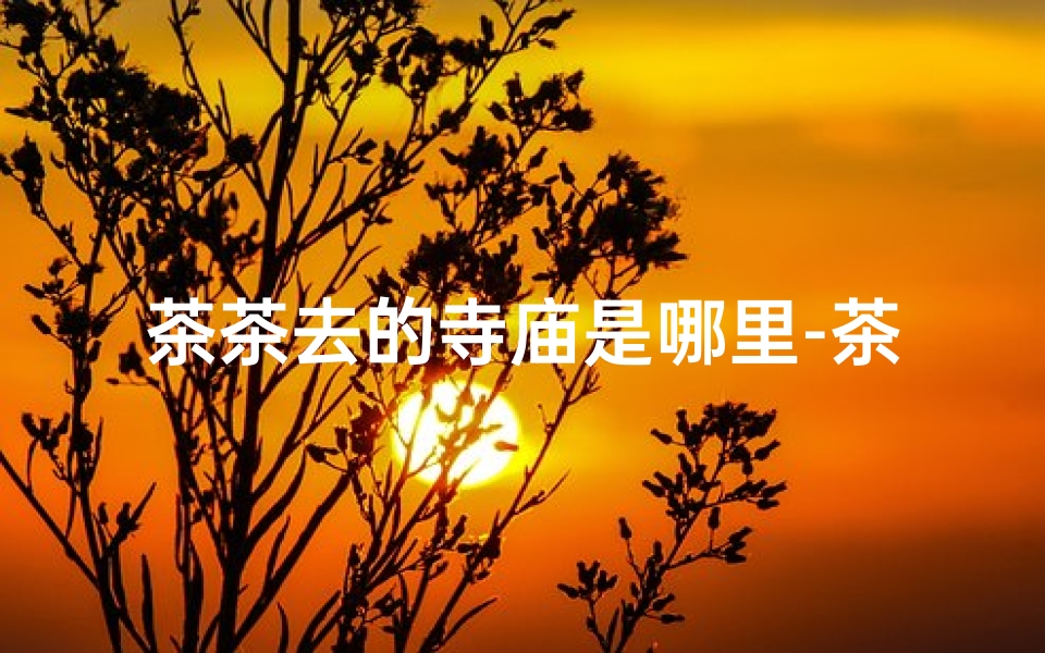 茶茶去的寺庙是哪里-茶茶寻踪:揭秘神秘寺庙之谜