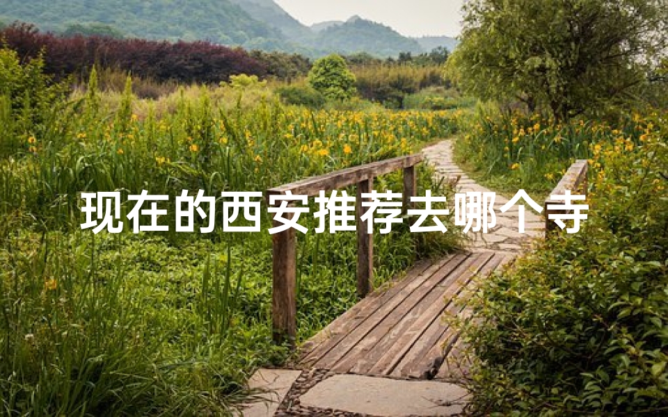 现在的西安推荐去哪个寺庙_西安必游:探寻古都神秘寺庙,感受千年文化底蕴-算卦网