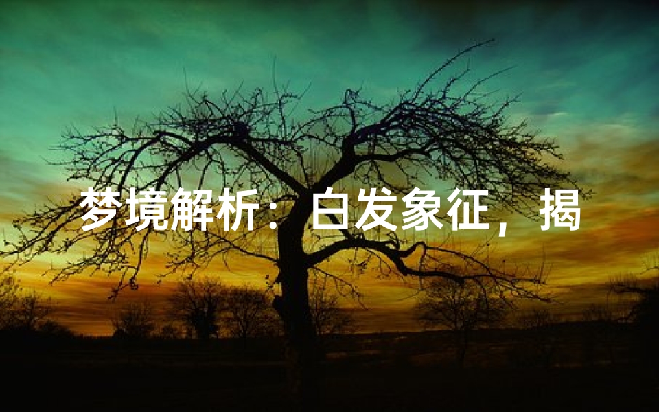 梦境解析:白发象征,揭示内心深层