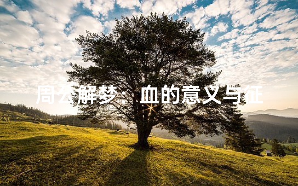 周公解梦:血的意义与征兆解析