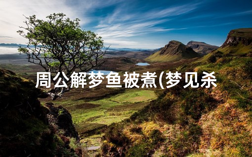 周公解梦鱼被煮(梦见杀鱼是否是好兆头)-算卦网