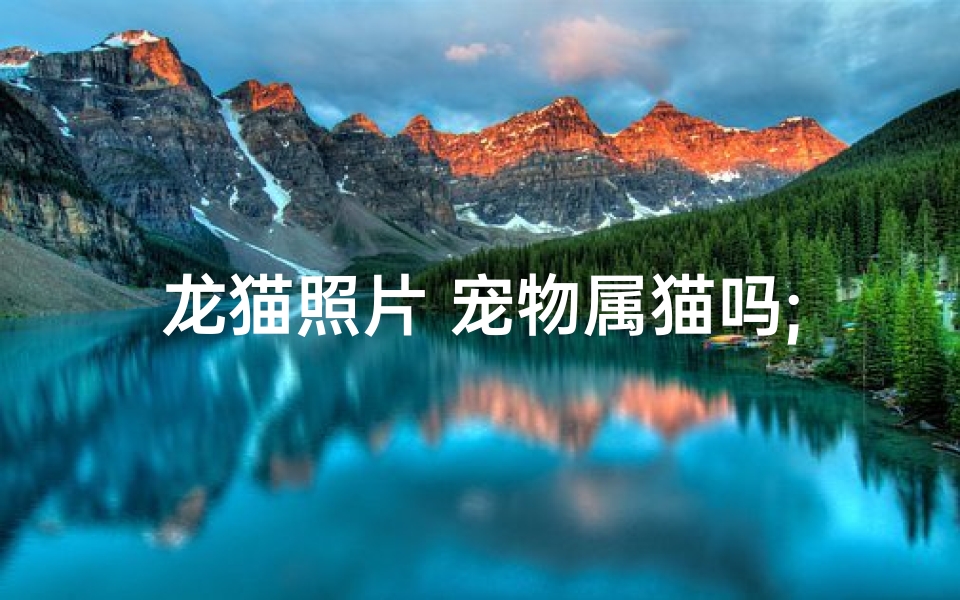 龙猫照片 宠物属猫吗;《龙猫照片揭秘:宠物属猫的可爱日常》-算卦网
