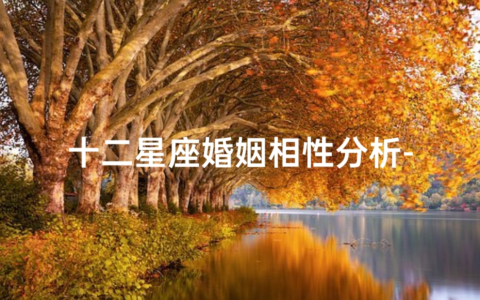 十二星座婚姻相性分析-星座特质与和谐共处之道