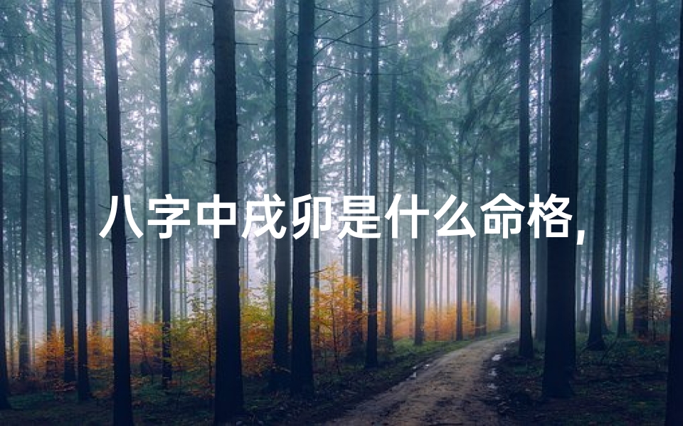 八字中戌卯是什么命格,八字戌卯命格揭秘:运势解析与人生指引