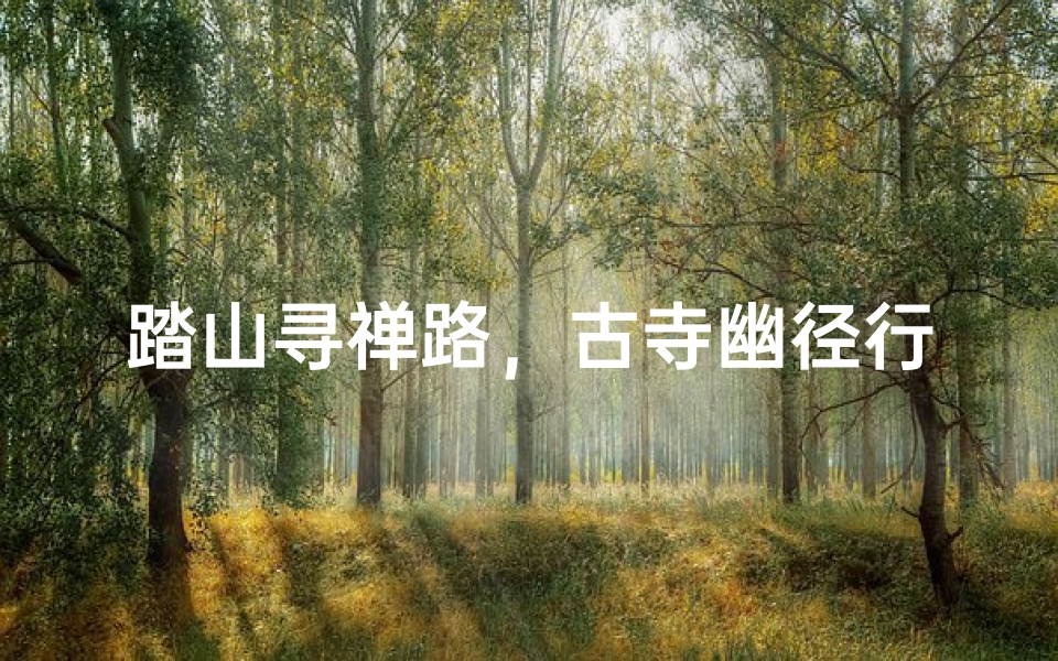 踏山寻禅路,古寺幽径行-算卦网