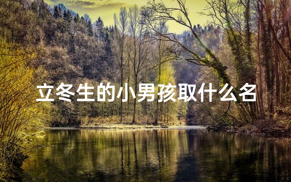 立冬生的小男孩取什么名字;立冬时节,宝宝起名:温暖冬日里的阳光男孩-算卦网