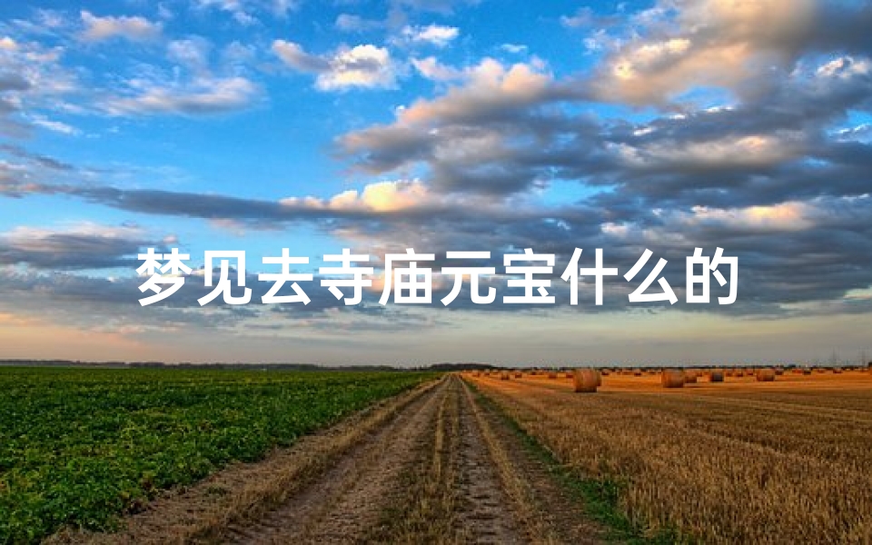 梦见去寺庙元宝什么的-算卦网