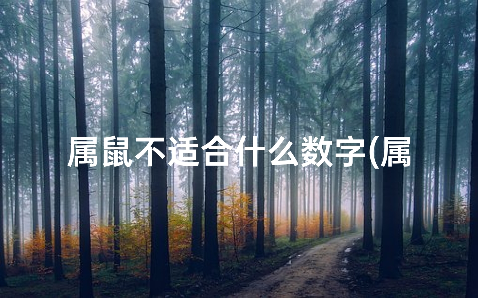 属鼠不适合什么数字(属鼠不宜触碰的数字禁忌:揭秘数字背后的秘密)