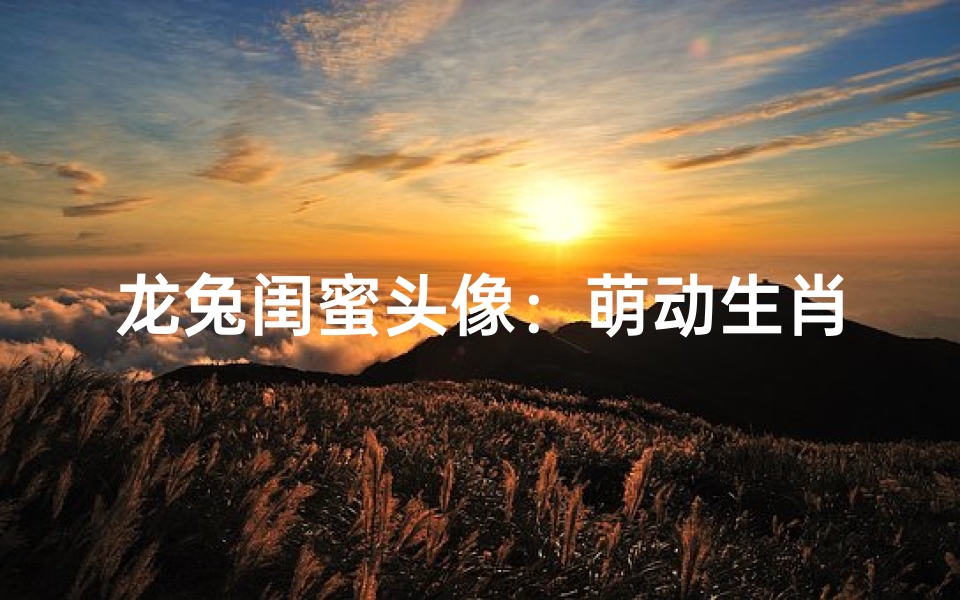 龙兔闺蜜头像:萌动生肖情谊-算卦网