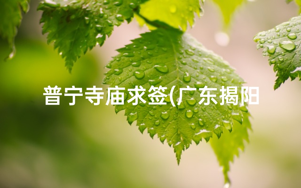 普宁寺庙求签(广东揭阳有什么寺庙出名)-算卦网