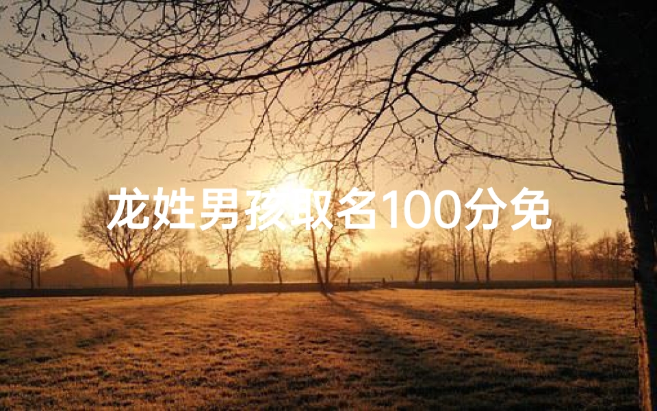 龙姓男孩取名100分免费,龙姓鼠年男孩名字评分低,如何取名逆袭?-算卦网