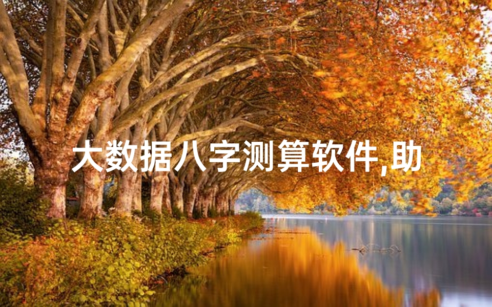 大数据八字测算软件,助力精准命理分析-技术优势与应用实践