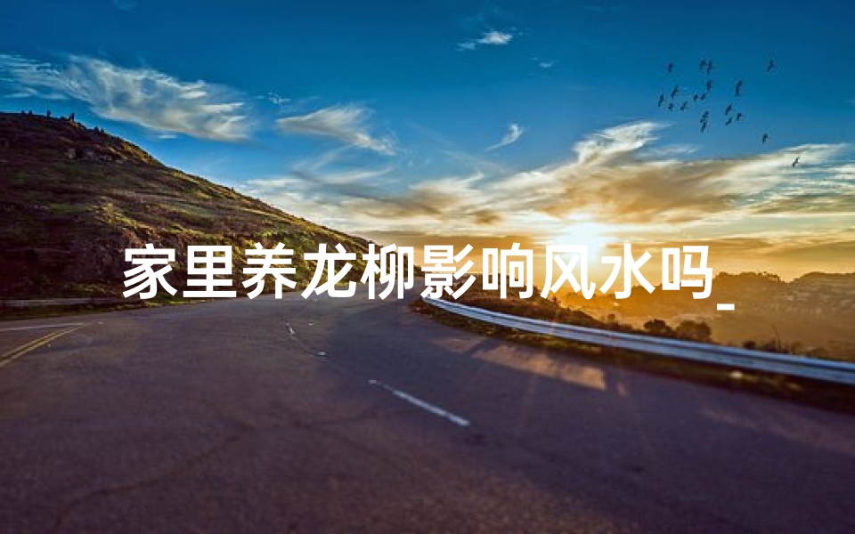 家里养龙柳影响风水吗_龙柳放家里有禁忌吗
