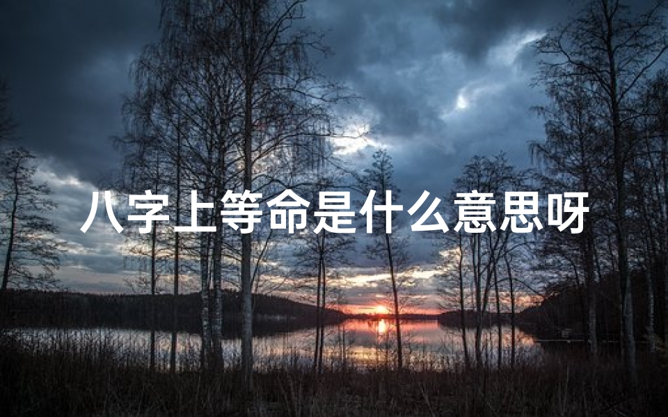 八字上等命是什么意思呀怎么看—八字上等命究竟意味着什么?揭秘命运之谜