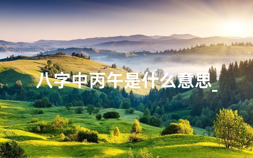 八字中丙午是什么意思_《丙午生辰八字:火炎炎,午日生辉》