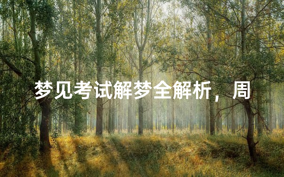 梦见考试解梦全解析,周公解梦揭示考试焦虑背后的深层含义