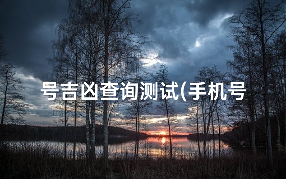 号吉凶查询测试(手机号码测吉凶的方法)-算卦网