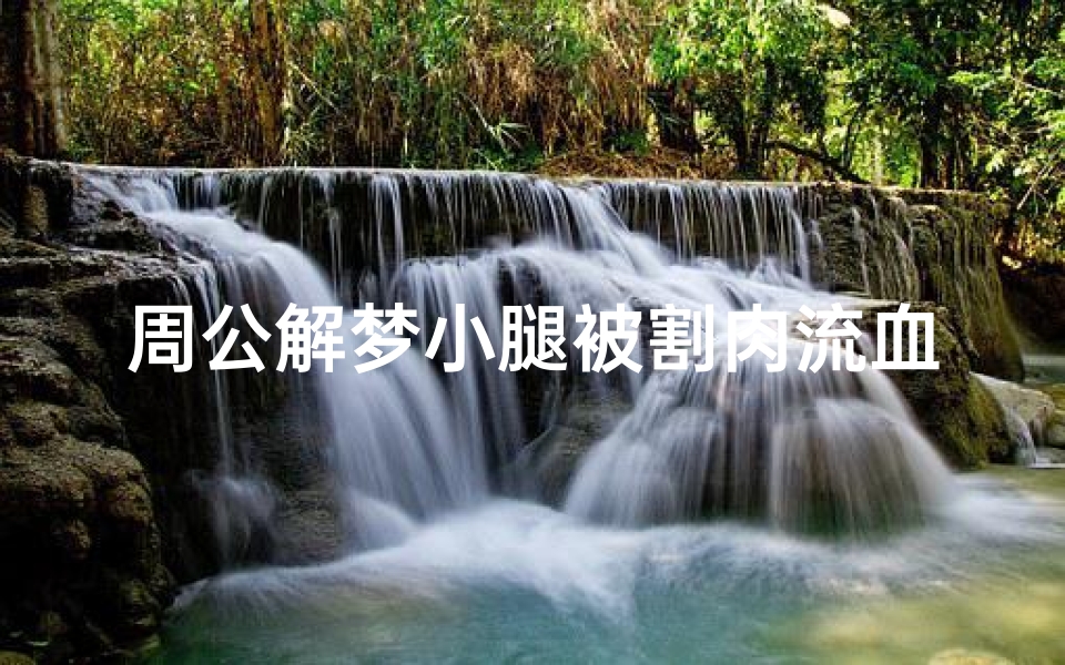 周公解梦小腿被割肉流血(梦见梦有人被割肉有好多血的预兆)-算卦网