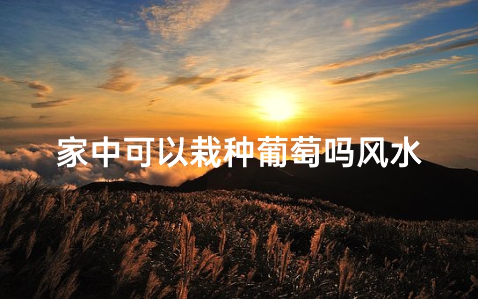 家中可以栽种葡萄吗风水好吗(家里可以种葡萄盆栽吗)