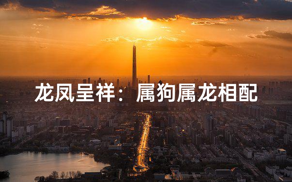 龙凤呈祥:属狗属龙相配之谜-算卦网