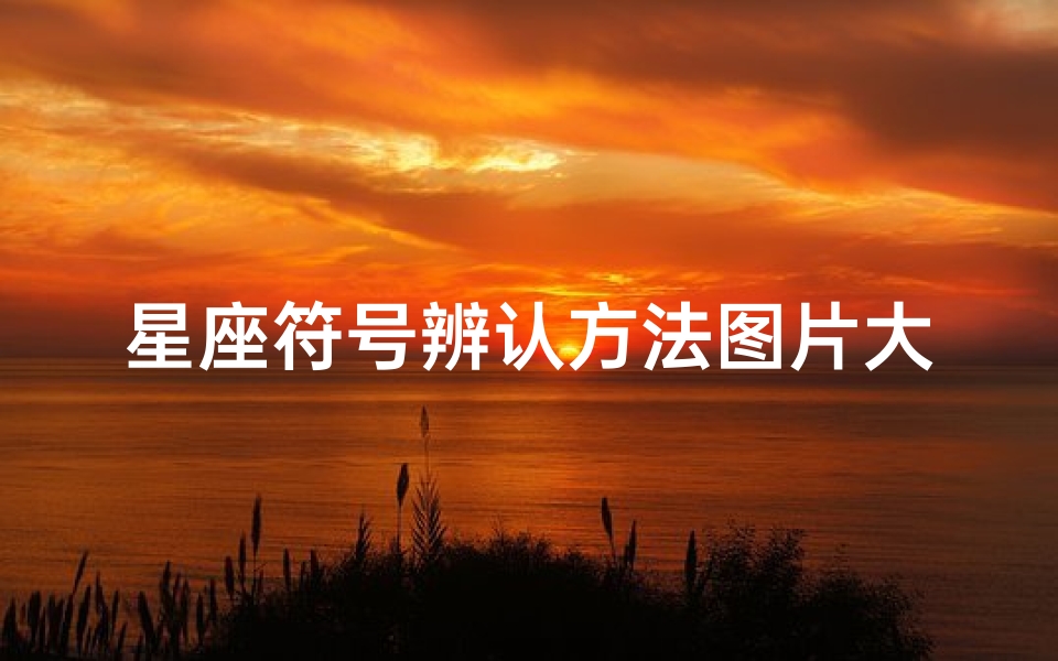 星座符号辨认方法图片大全(十二星座的标志分别是什么 )