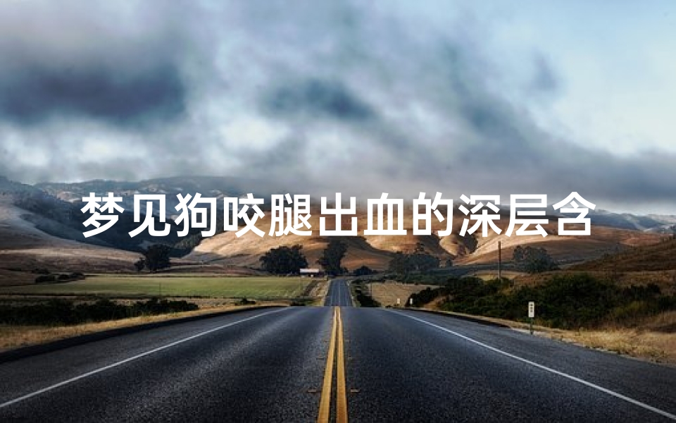 梦见狗咬腿出血的深层含义与解析-周公解梦新解