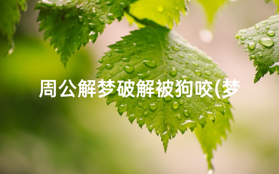 周公解梦破解被狗咬(梦见被狗追着咬是怎么回事)-算卦网