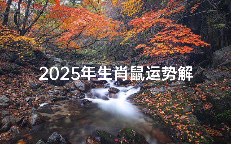 2025年生肖鼠运势解析,事业财运感情健康全盘预测-算卦网