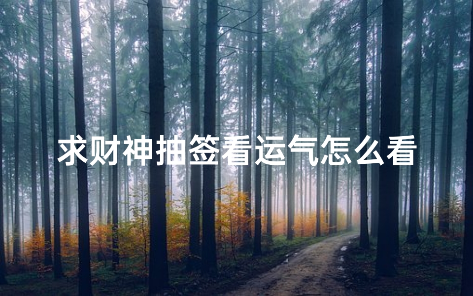 求财神抽签看运气怎么看:财运占卜解析与民俗文化探秘-算卦网