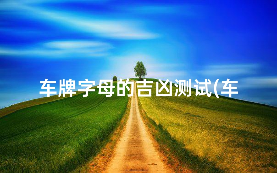 车牌字母的吉凶测试(车牌号码测试 26个字母吉凶 )-算卦网