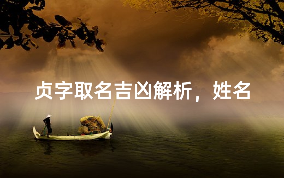 贞字取名吉凶解析,姓名学深度测评报告-算卦网