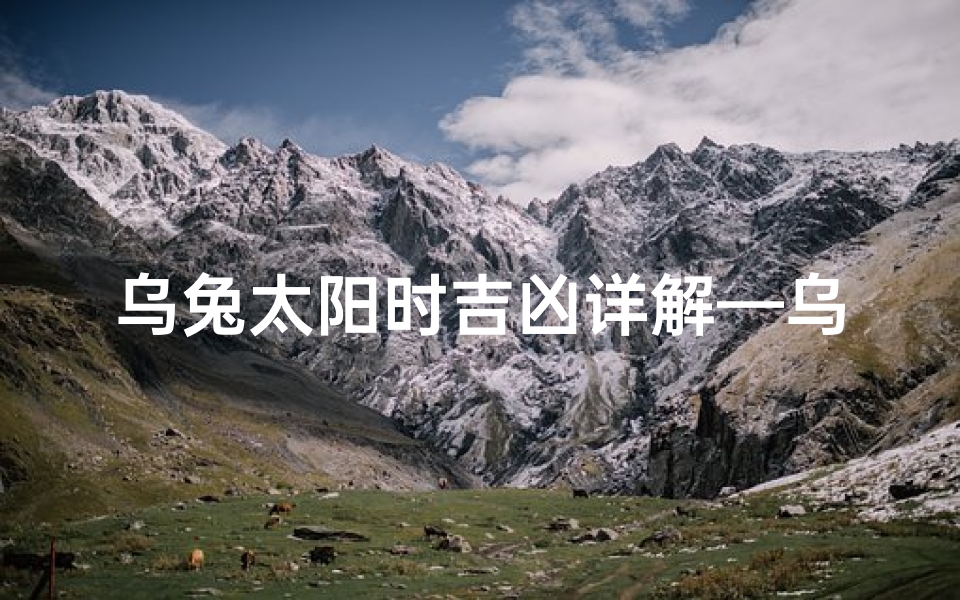 乌兔太阳时吉凶详解—乌兔太阳时吉凶预测准确性揭秘-算卦网