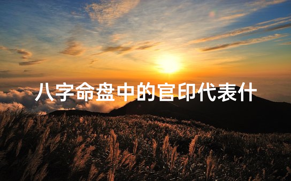 八字命盘中的官印代表什么—八字命盘揭秘:官印的奥秘与人生影响