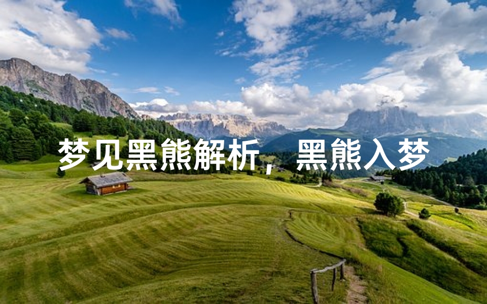 梦见黑熊解析,黑熊入梦的预示与心理暗示