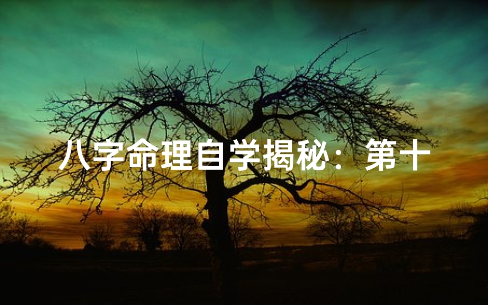 八字命理自学揭秘:第十六章核心解析深度剖析