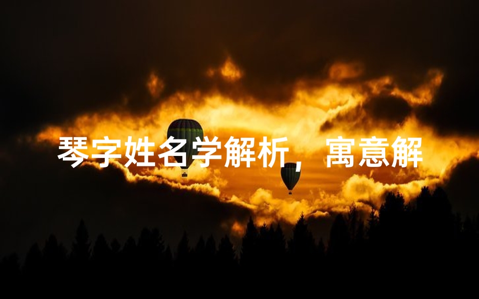 琴字姓名学解析,寓意解析与八字命理搭配建议-算卦网