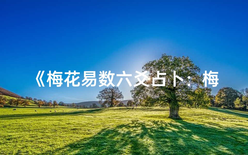 《梅花易数六爻占卜:梅花六爻测吉凶秘法解析》