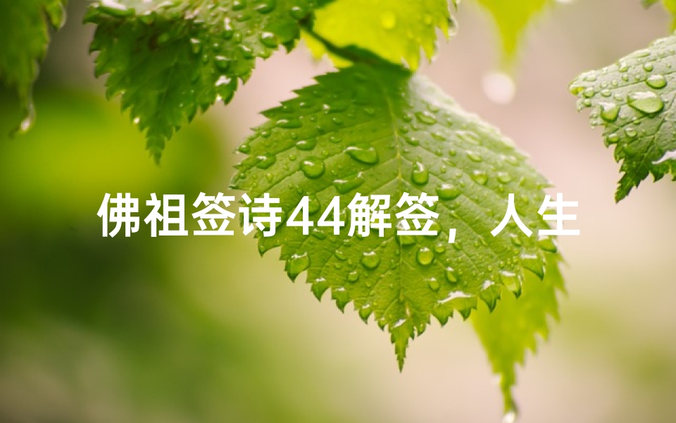 佛祖签诗44解签,人生浮沉中的智慧启示-算卦网
