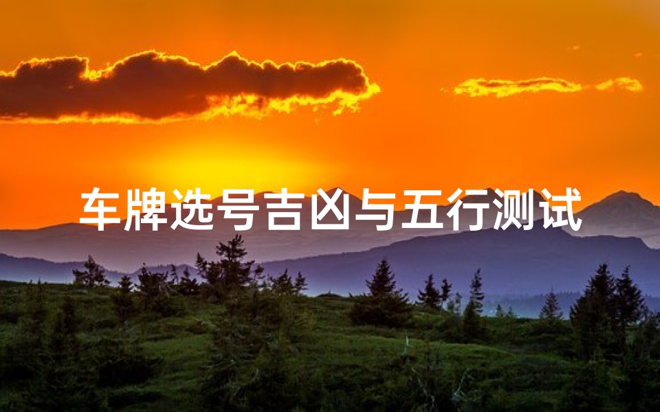 车牌选号吉凶与五行测试(怎样测试车牌号好不好五行对应大吉牌号 )-算卦网