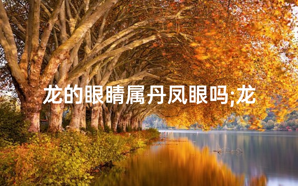 龙的眼睛属丹凤眼吗;龙眼丹凤,神秘之眸