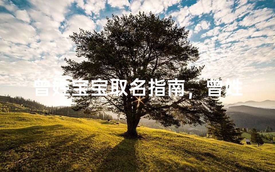 曾姓宝宝取名指南，曾姓名字寓意解析与创意推荐