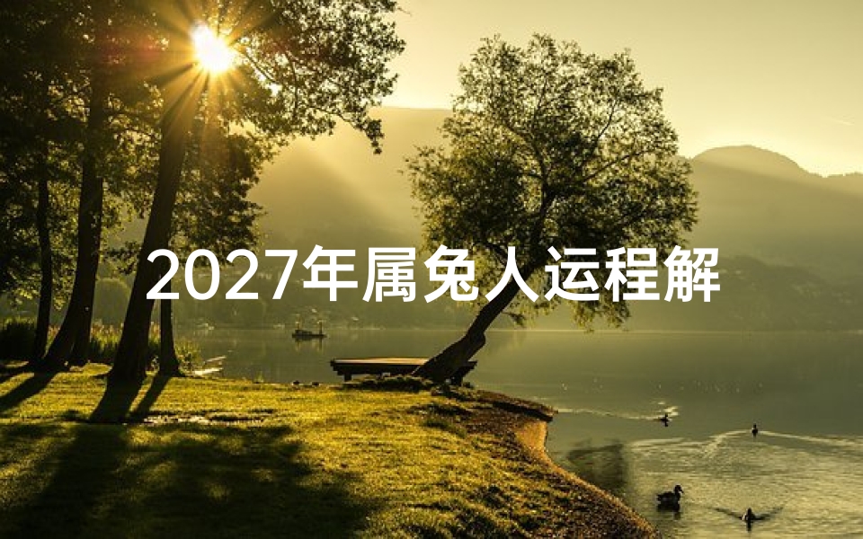 2027年属兔人运程解析,事业、财运与感情发展指南