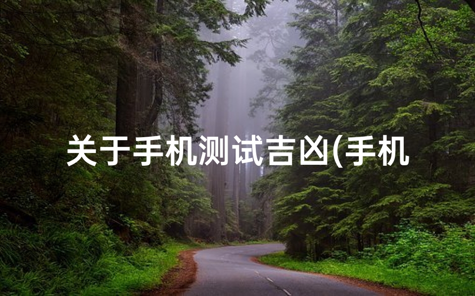 关于手机测试吉凶(手机号码测吉凶的方法)-算卦网