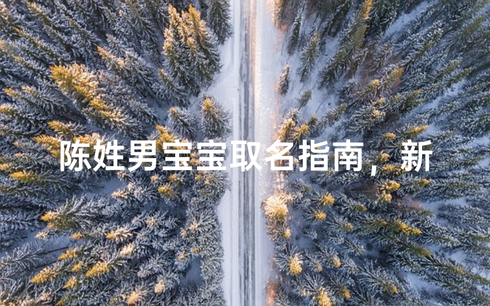 陈姓男宝宝取名指南，新生儿命名技巧与寓意解析