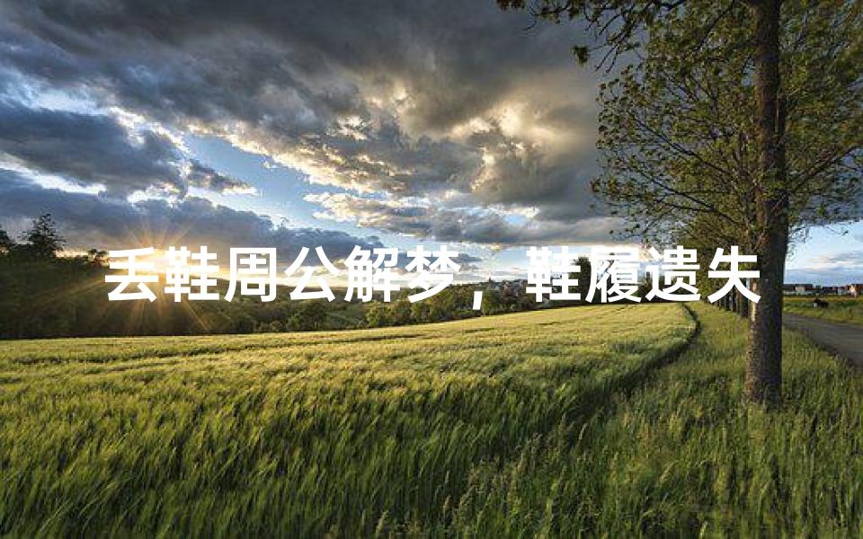 丢鞋周公解梦,鞋履遗失背后的吉凶预兆解析