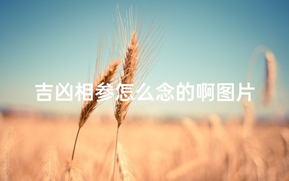 吉凶相参怎么念的啊图片_吉凶相救是什么意思-算卦网